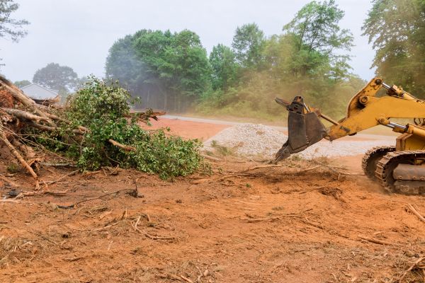 Ground Clearing in Woodland Hills