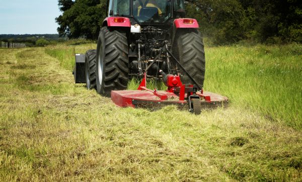 Brush Clearing Service in Woodland Hills