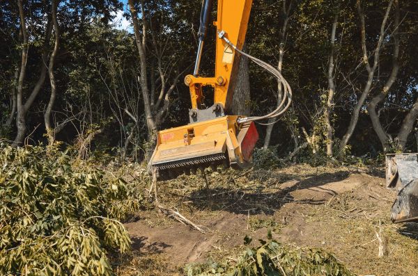 Brush Removal Service in Woodland Hills