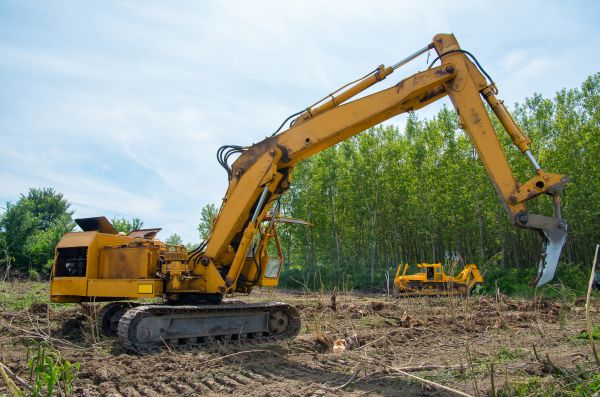Cost of Farm Clearing in Woodland Hills