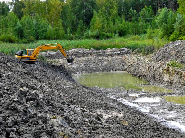 Cost of Lake Lot Clearing in Woodland Hills