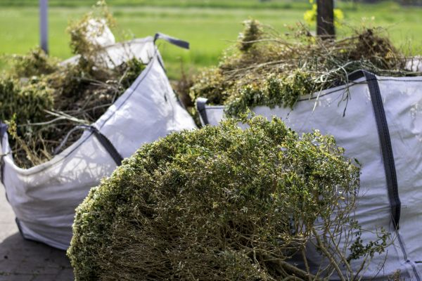 Cost of Bushes Clearing in Woodland Hills