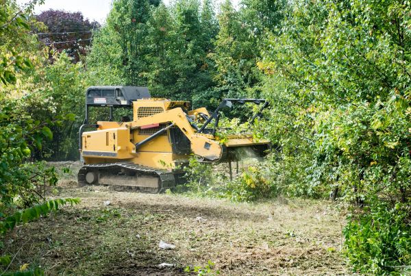 Cost of Pathway Clearing in Woodland Hills