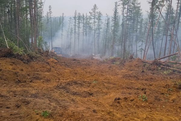 Cost of Hill Clearing in Woodland Hills