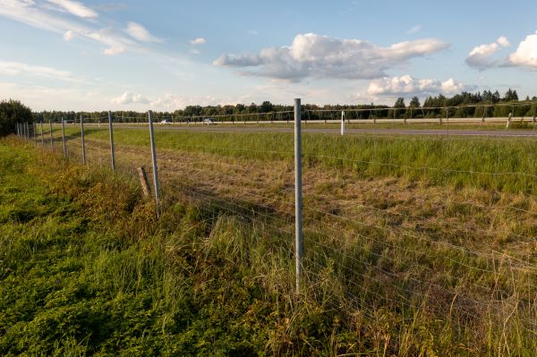 Cost of Property Line Clearing in Woodland Hills