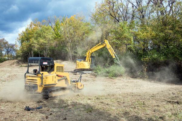 Cost of Terrain Clearing in Woodland Hills