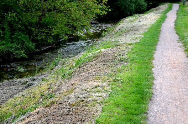 Cost of Trail Cutting in Woodland Hills